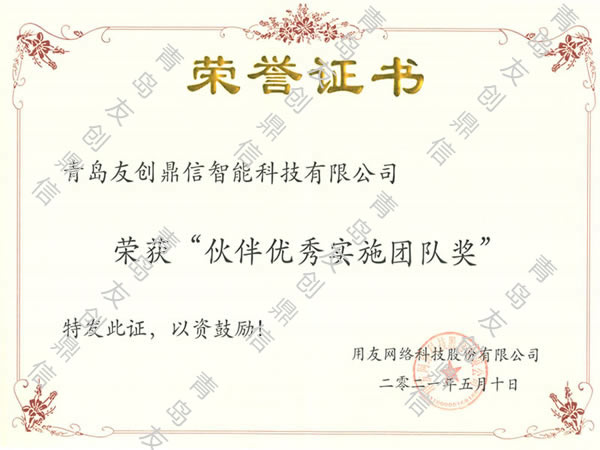 伙伴優(yōu)秀實施團隊獎